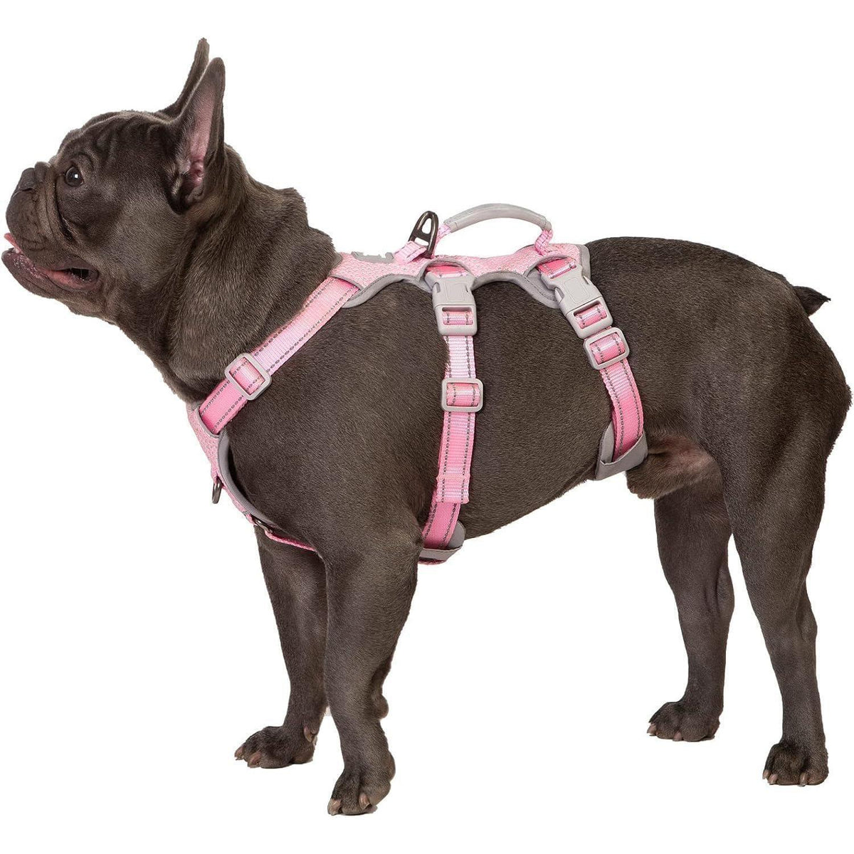 Ausbruchsicher Hundegeschirr Gepolstert Rosa L