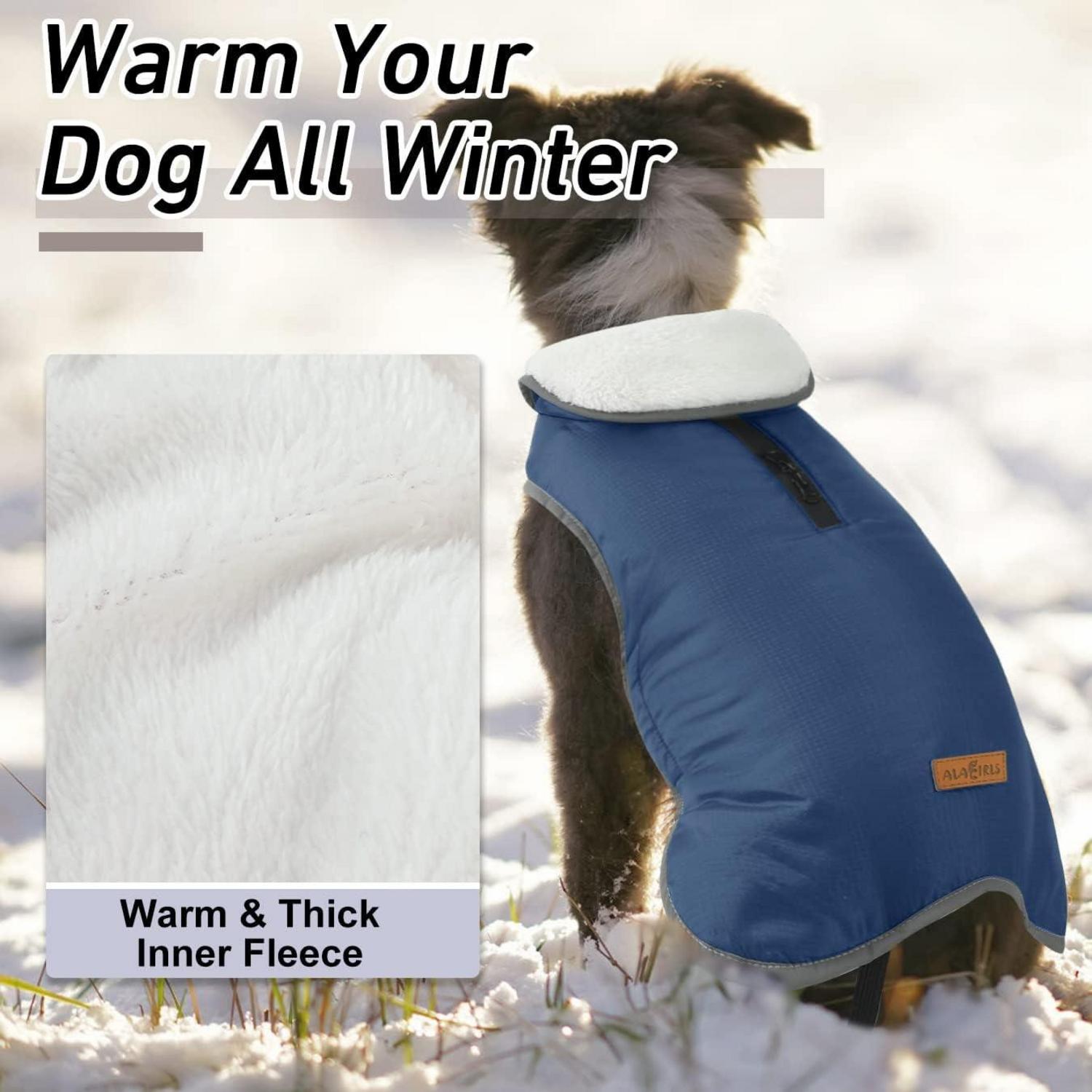 Winddichter Reflektierender Wintermantel für Kleine Mittelgroße Hunde
