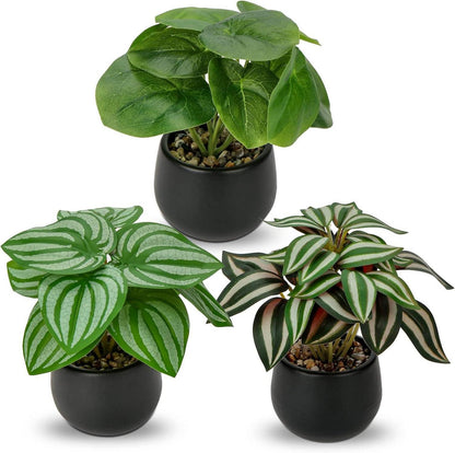 Kunstpflanze 3er Set Künstliche Zimmerpflanze Dekoration ca.15 cm