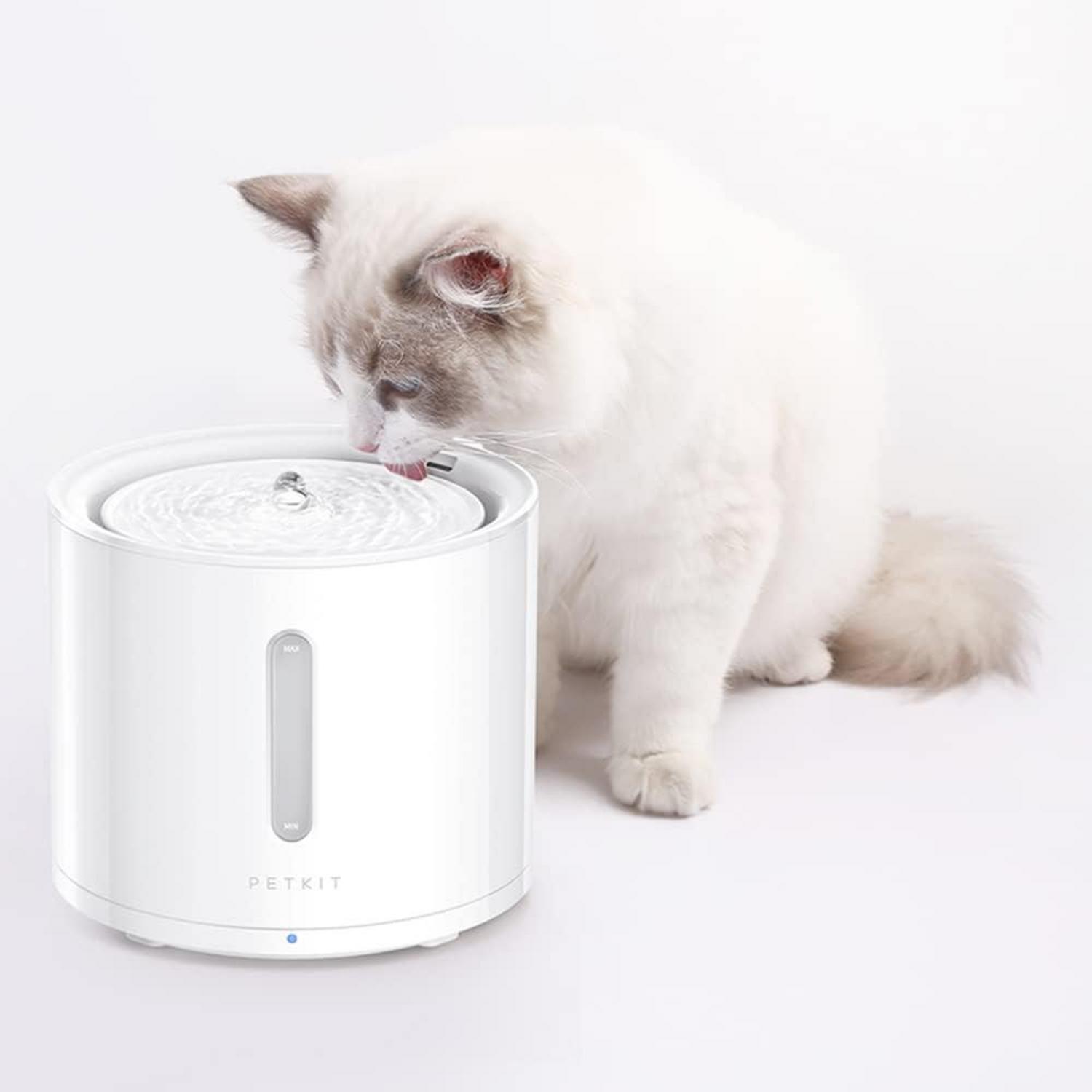 PETKIT CYBERTAIL Eversweet Filter 3.0 5 Stück Katze Hund Trinkbrunnen Wasserspender
