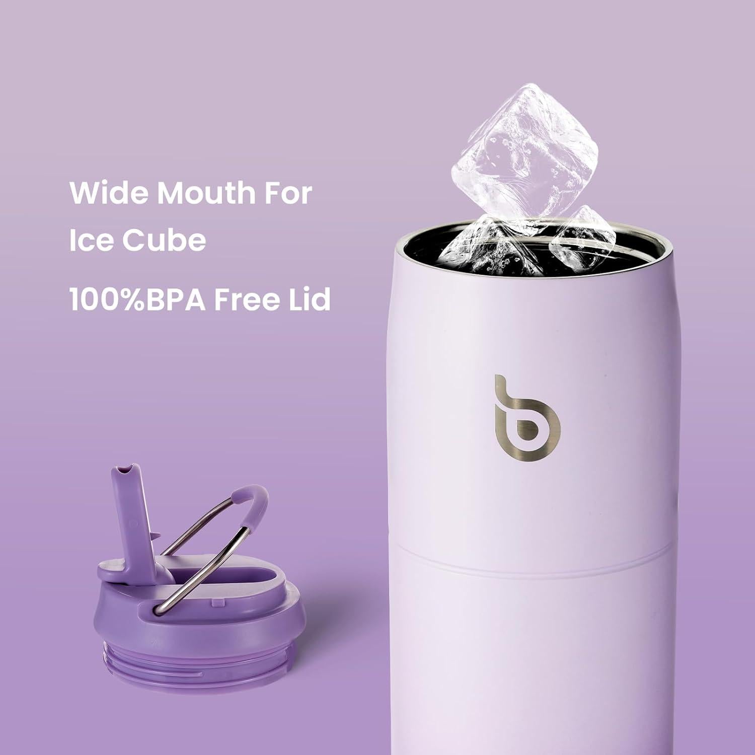 Stainless Steel Vacuum Insulated Water Bottle with Straw and Lid 32oz Purple Gradient