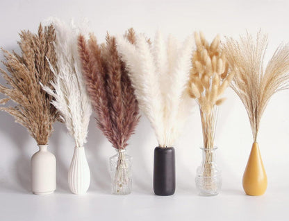 110er Set Natürliche Trockenblumenstrauß Pampas Grass Deko