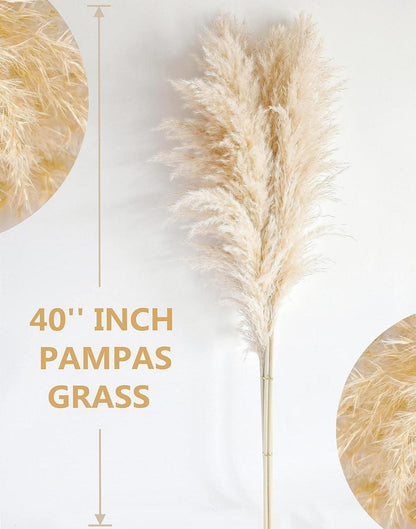 10er Set Pampas Grass XXL Trockenblumen Deko 100cm