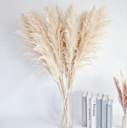 10er Set Pampas Gras XXL Trockenblumen Deko Boho Hochzeit 100cm