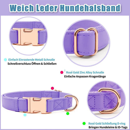 Hundehalsband & Leine Set – Rose Gold, Violett, L in Lederoptik