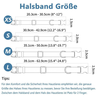 Hundehalsband & Leine Set – Rose Gold, Violett, L in Lederoptik