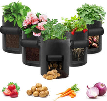 Grow Bag 15 Gallonen mit Sichtfenster und Griffen