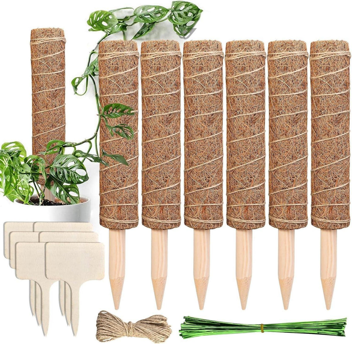 Monstera Rankhilfe 6 Stück Pflanzstäbe Kokos Moosstab 30 cm