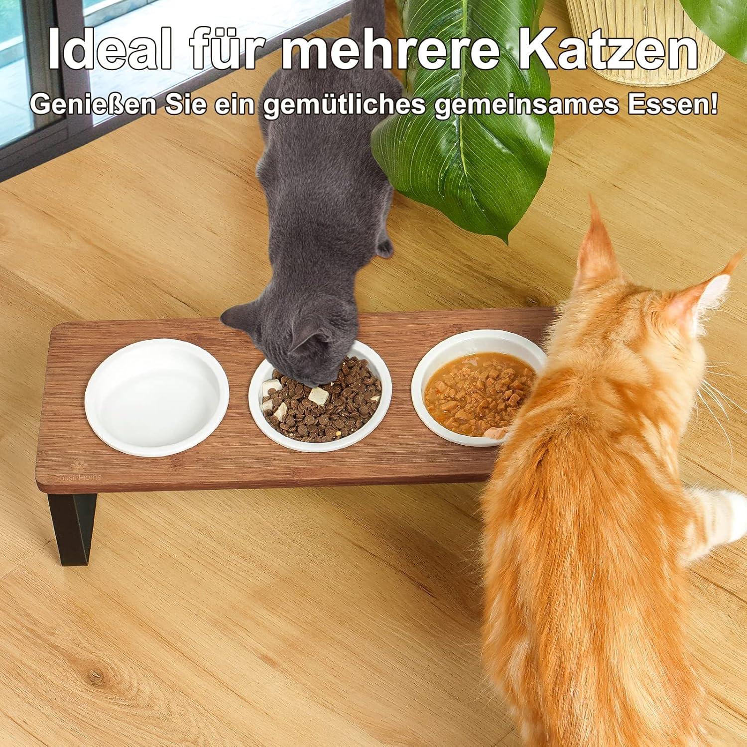 Erhöhter Katzennapf Set Keramik Holz 3-teilig Fressnapf Ø12cm Braun