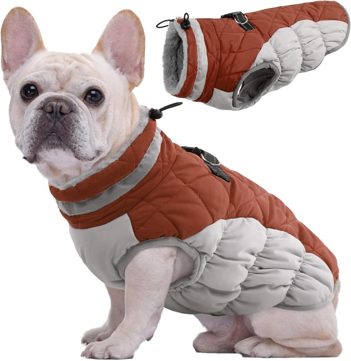 Wasserdichter Hundemantel Winterjacke für kleine bis große Hunde