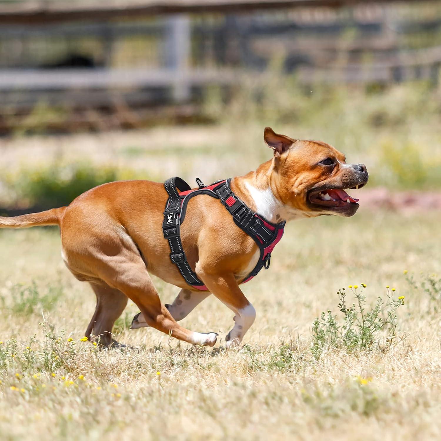 Hundegeschirr gegen Ziehen reflektierend verstellbar weich gepolstert L_rot