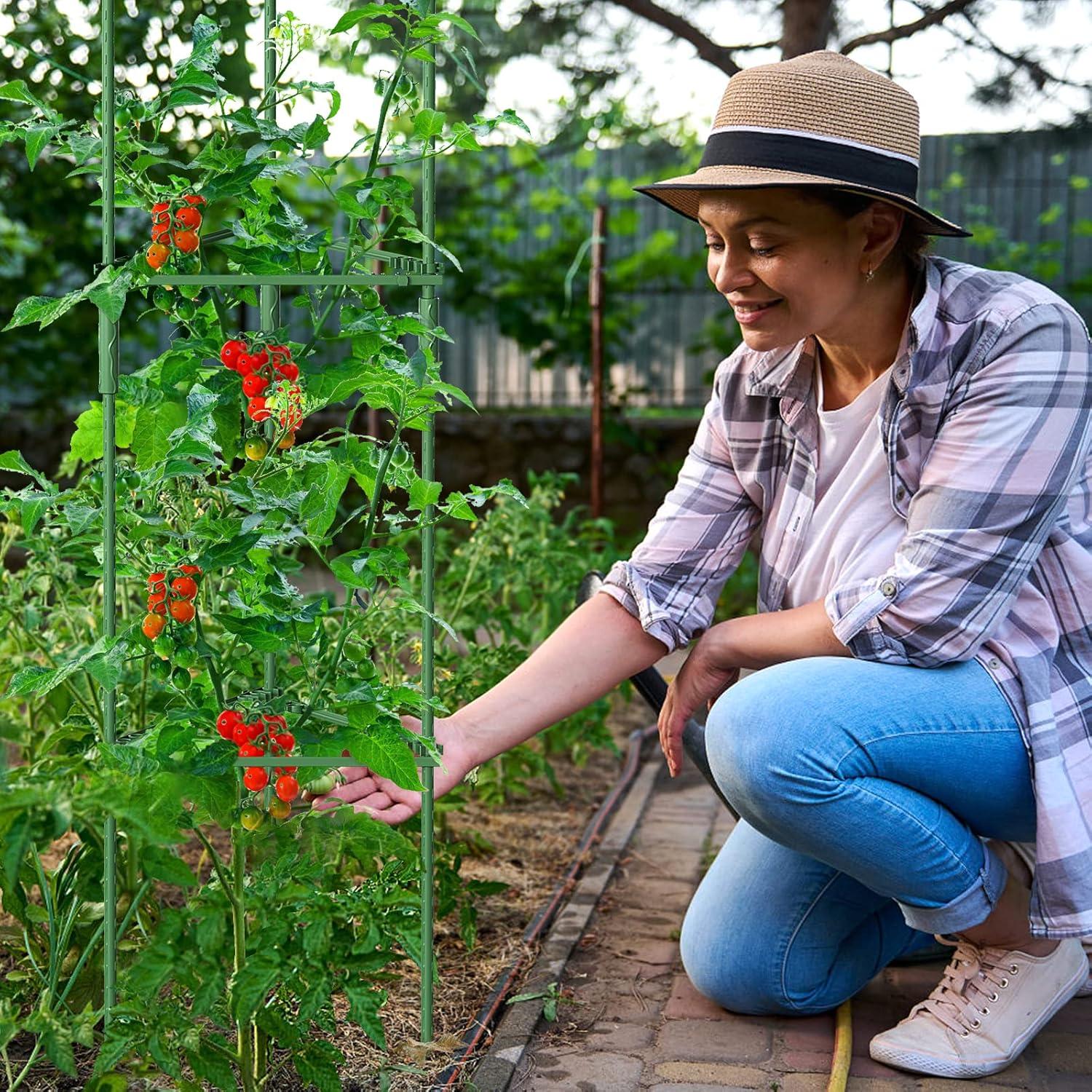 Tomate Rankhilfe 6er Set Pflanzenstütze 120 cm Höhe DIY Grün
