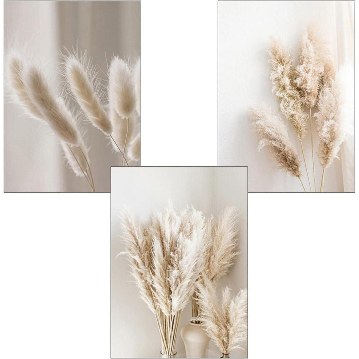 3er Poster Set Schilf – Boho Wandbilder Leinwand Beige