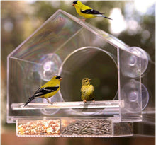 AMSAMOTION Vogelhaus Fenster Futterhaus Wildvögel Futterspender Acryl