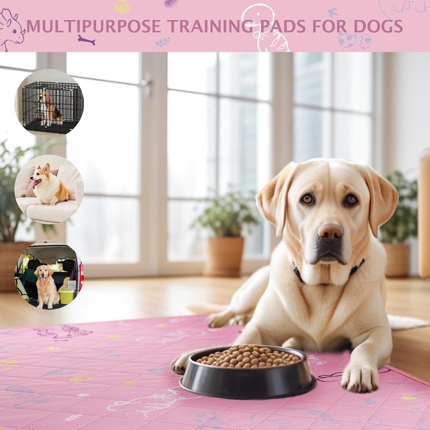 Welpenunterlagen Waschbar Hunde 2 Stück Absorbierend Trainingseinlagen