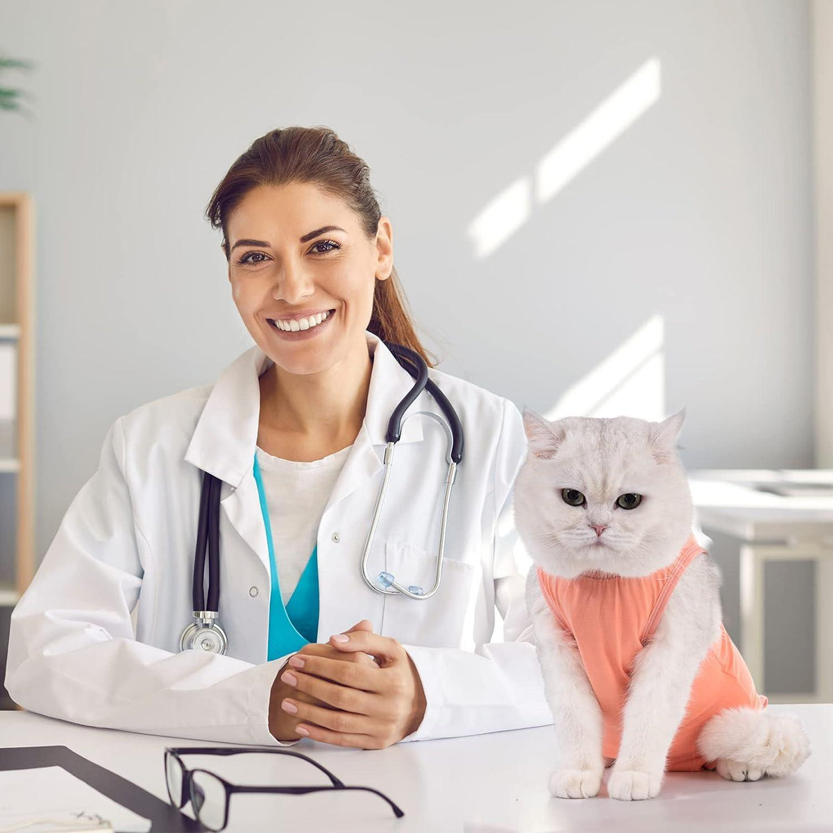 Katzenbody Erholungsanzug Kastration Spay Leckschutz Suit Bauchwunden