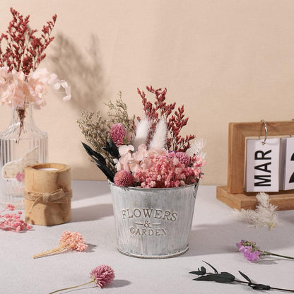 Heyu-Lotus Natürliche getrocknete Blumen DIY Bastelmaterial