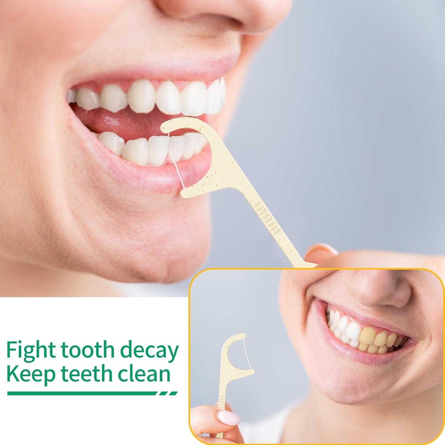 Eco-friendly Vegan Dental Floss Picks 100 Pack