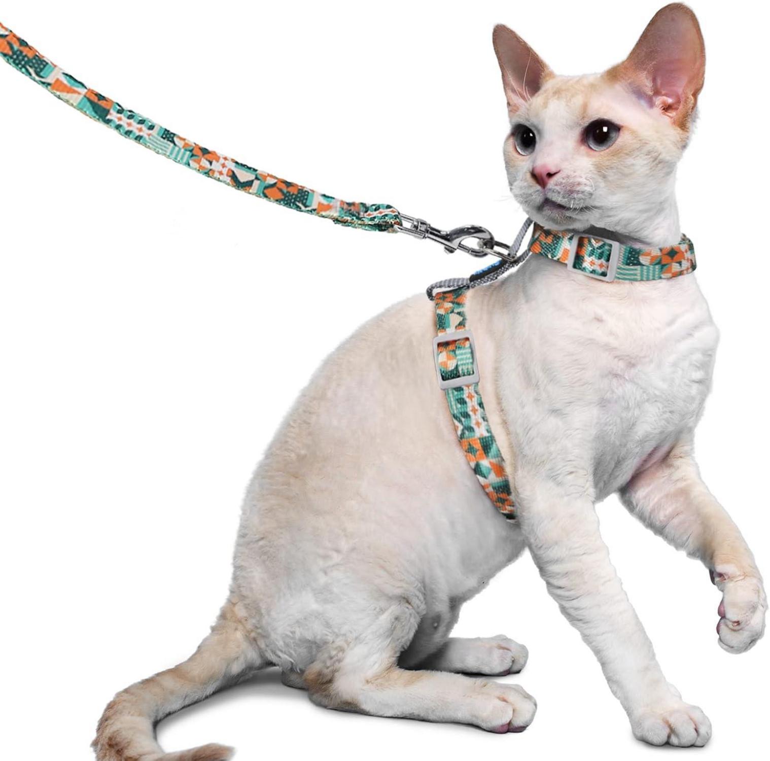 Ausbruchsicheres Katzengeschirr und Leine für kleine und große Katzen