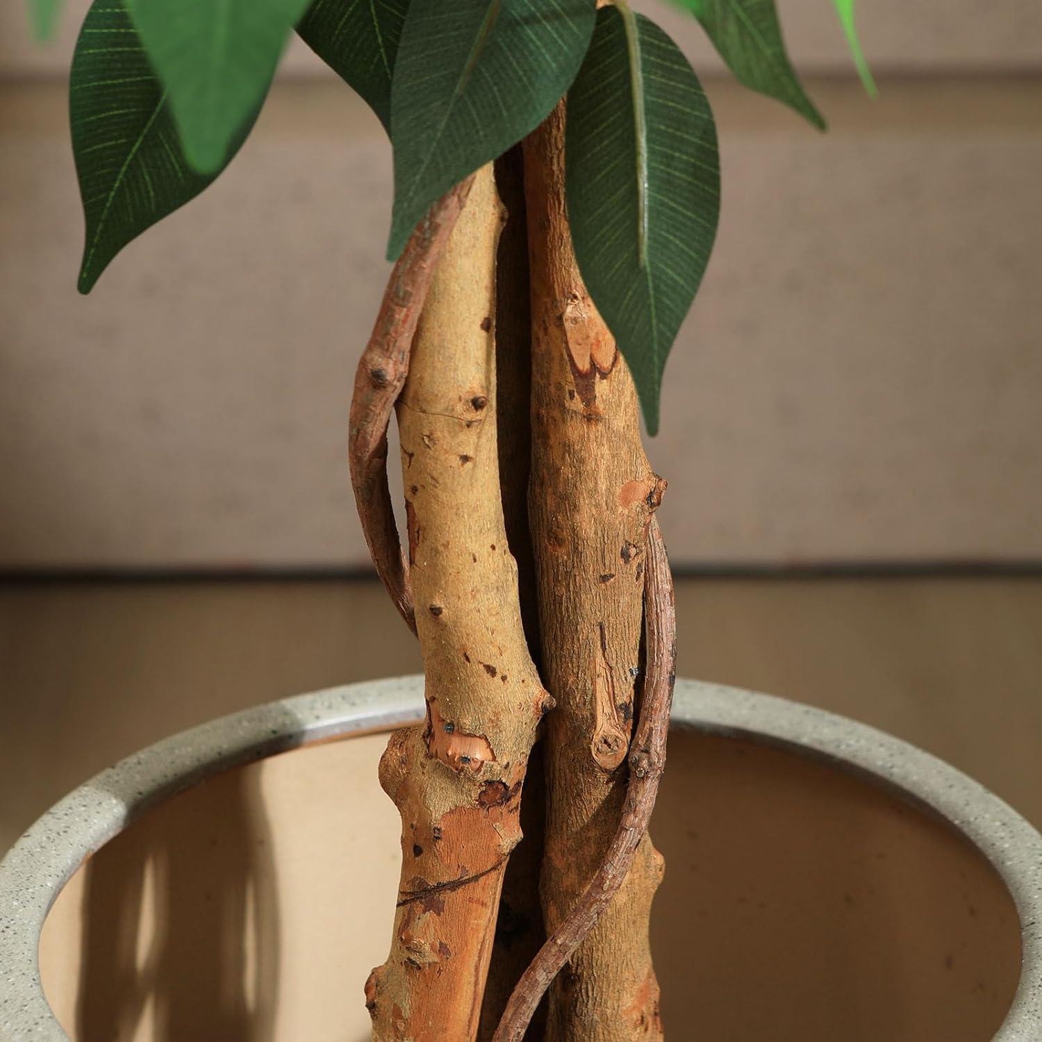 Kunstpflanze Ficusbaum 180 cm Naturholzstamm Büro Zuhause deco