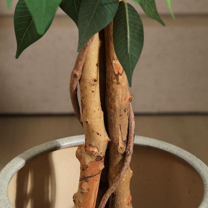 Künstlicher Ficusbaum 150 cm - Große Kunstpflanze Büro Zuhause Wohnzimmer