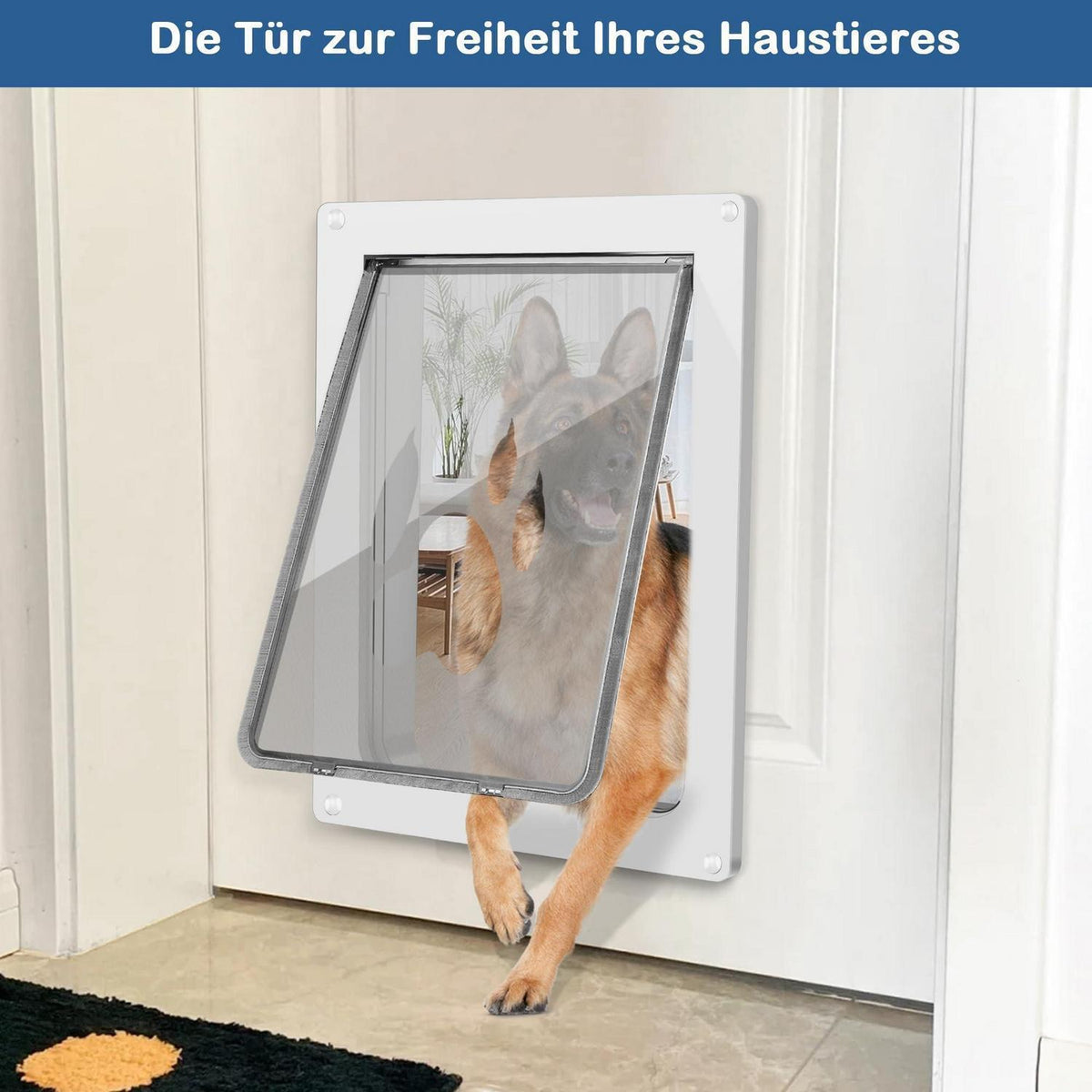 Große Hundeklappe 45kg – Wetterfest & Einfach Installieren