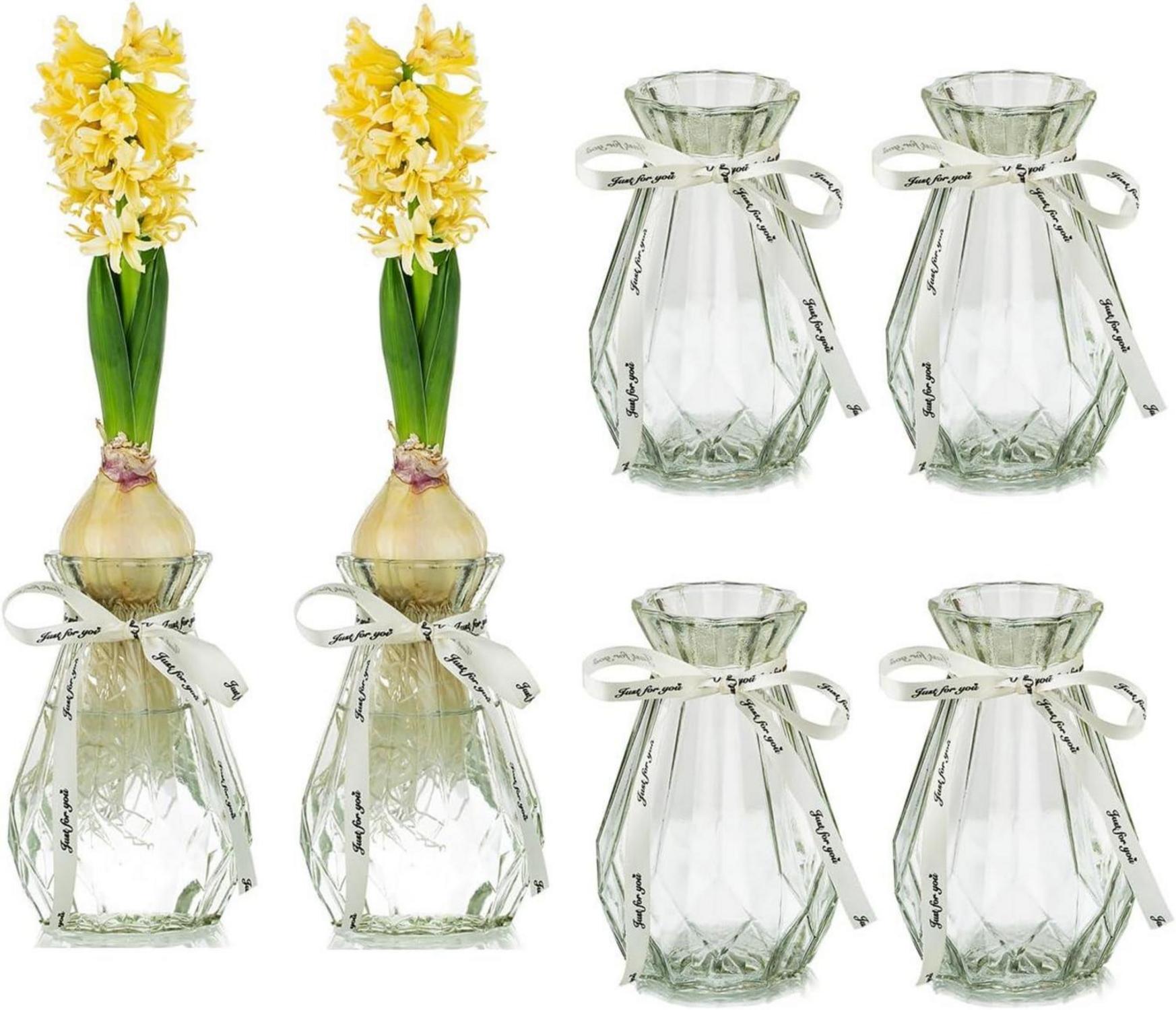 Klarglasvasen mit Seidenseil, Moderne Hyazinthenvasen Set 6