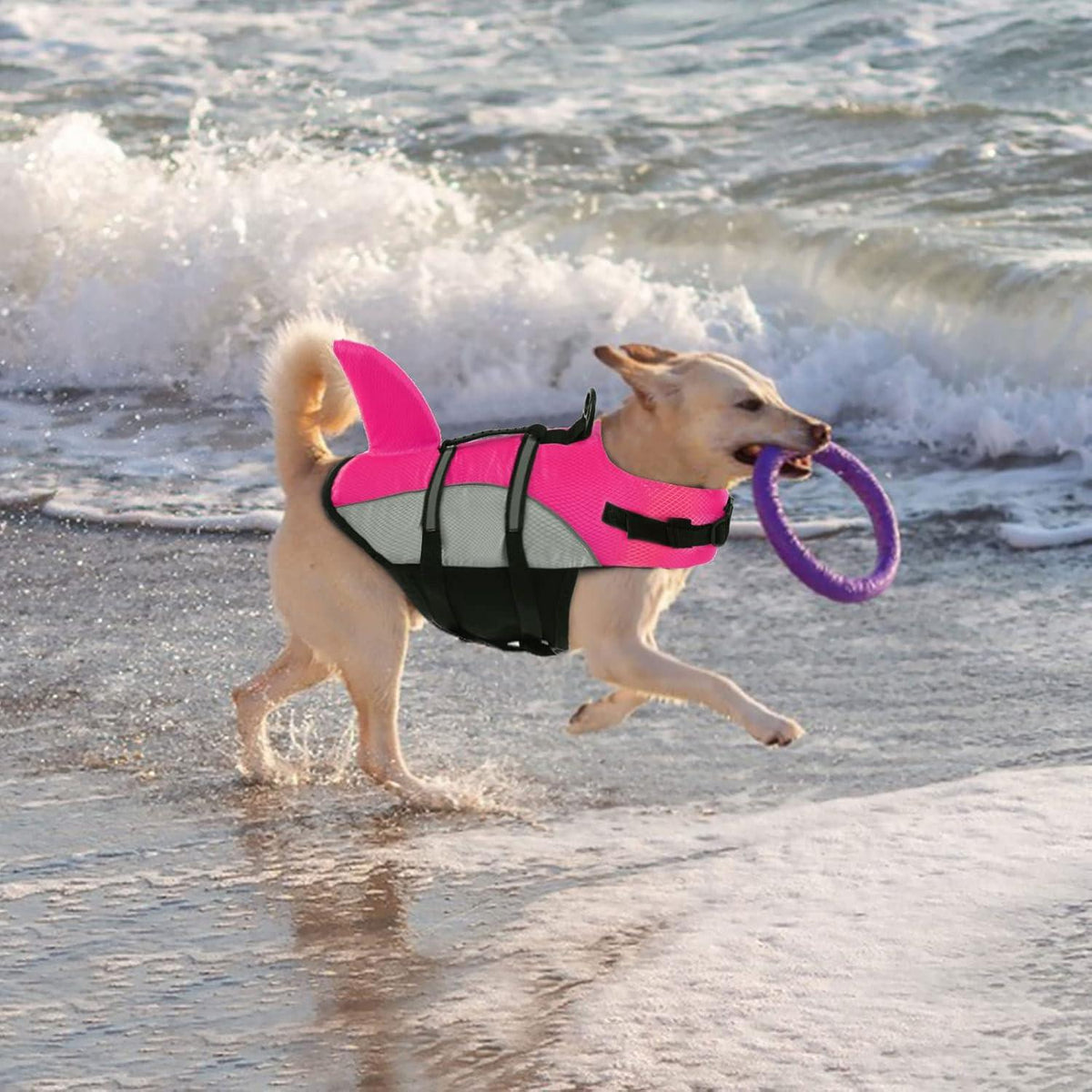 Hundeschwimmweste Rettungsweste für Kleine Mittelgroße Hunde PinkM