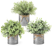 100 Stück Getrocknete Pampasgras Bunny-Tails Blumensträuße