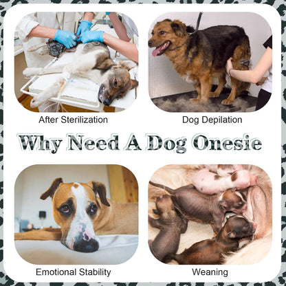 Kuoser Hundebody XS Blau OP Katzenbody Rüde impaction