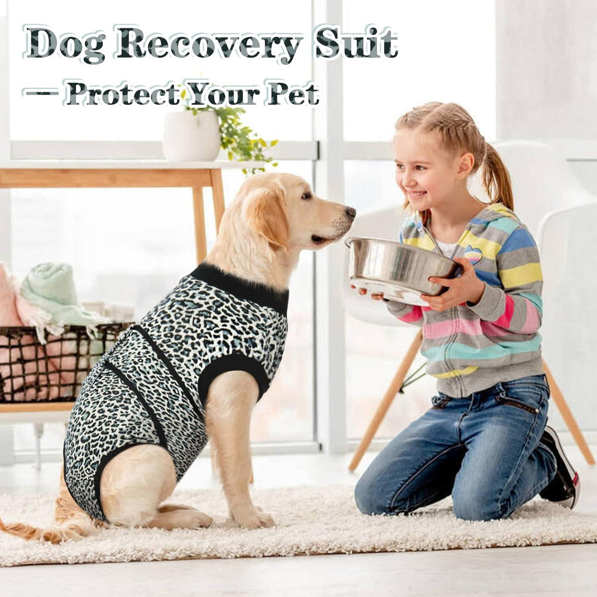 Hundebody Op Katzenbody XS Kastration Rüde Blau