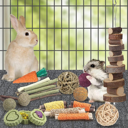 Zahnpflege-Spielzeug für Kaninchen, Meerschweinchen, Hamster