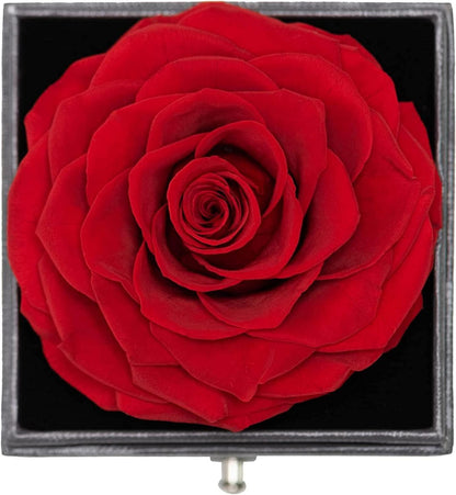 Ewige Rose Box mit 925 Silber Schmuck - Muttertagsgeschenk