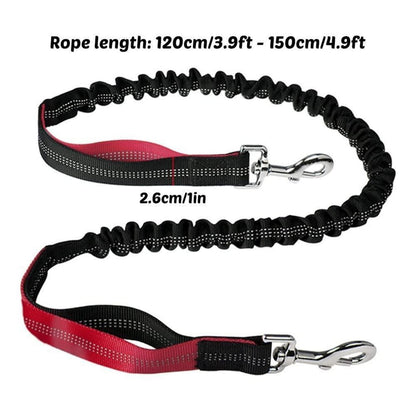 Bungeeleine für Hunde – Reflektierend & Stoßdämpfend 120-150cm