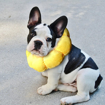 Verstellbare Sonnenblume Halskrause Katze Kleiner Hund OP Cone