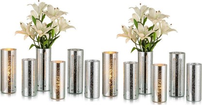 Moderne Silber Zylindervasen Set, 2er Pack Glass Vasen 12cm & 25cm