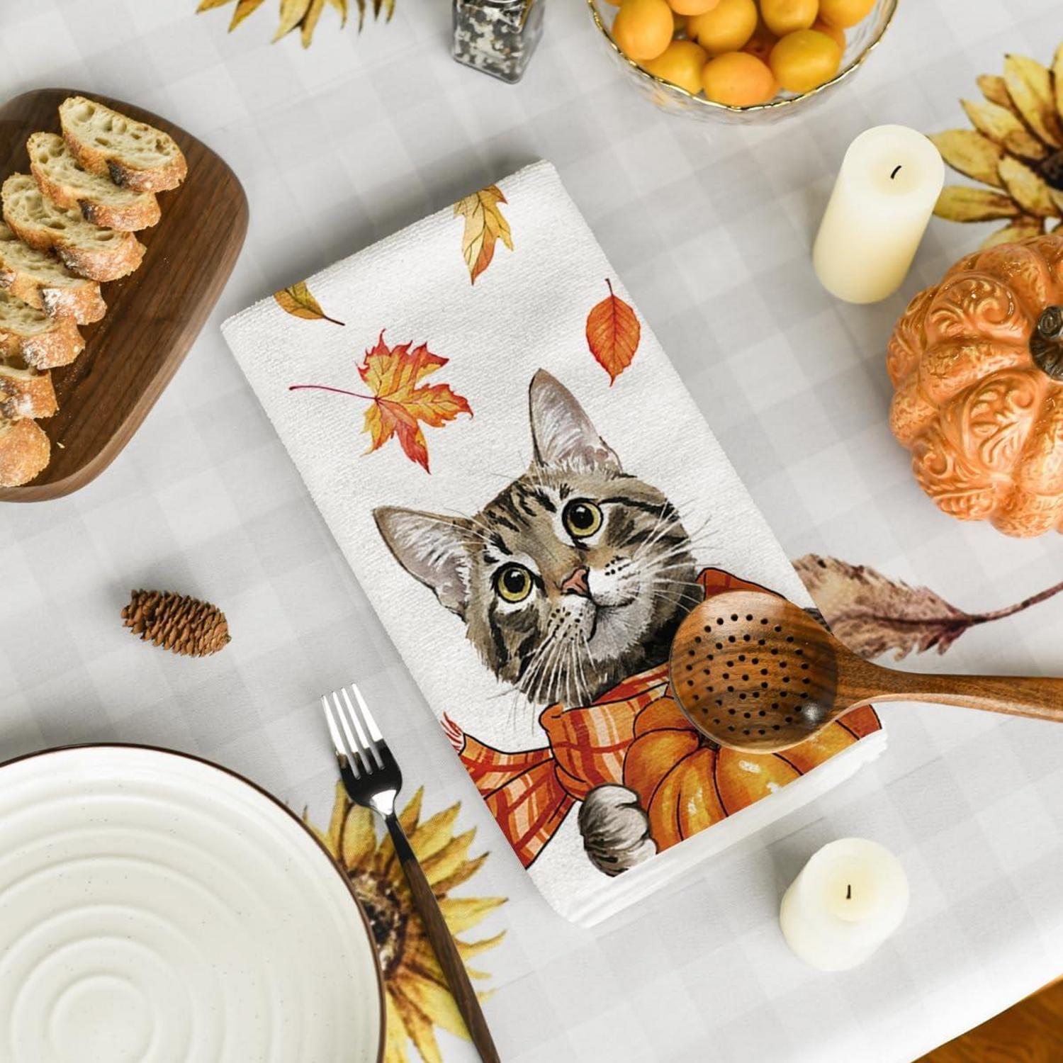 Große Katze Ahornblätter Kürbisse Herbst Küchentücher Geschirrtücher
