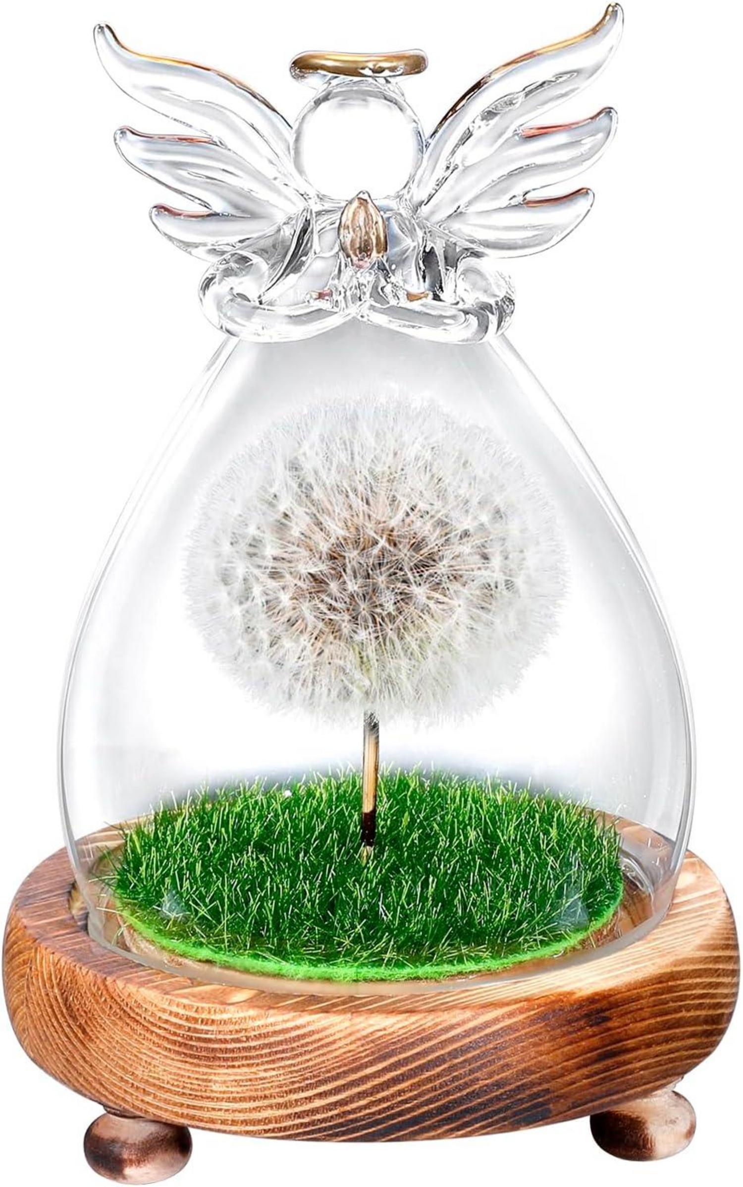 Natürliche Echte Pusteblume im Engelsglas - Geschenkidee für Sie