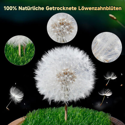 Engel Pusteblume im Glas Geschenk Frauen Geburtstag