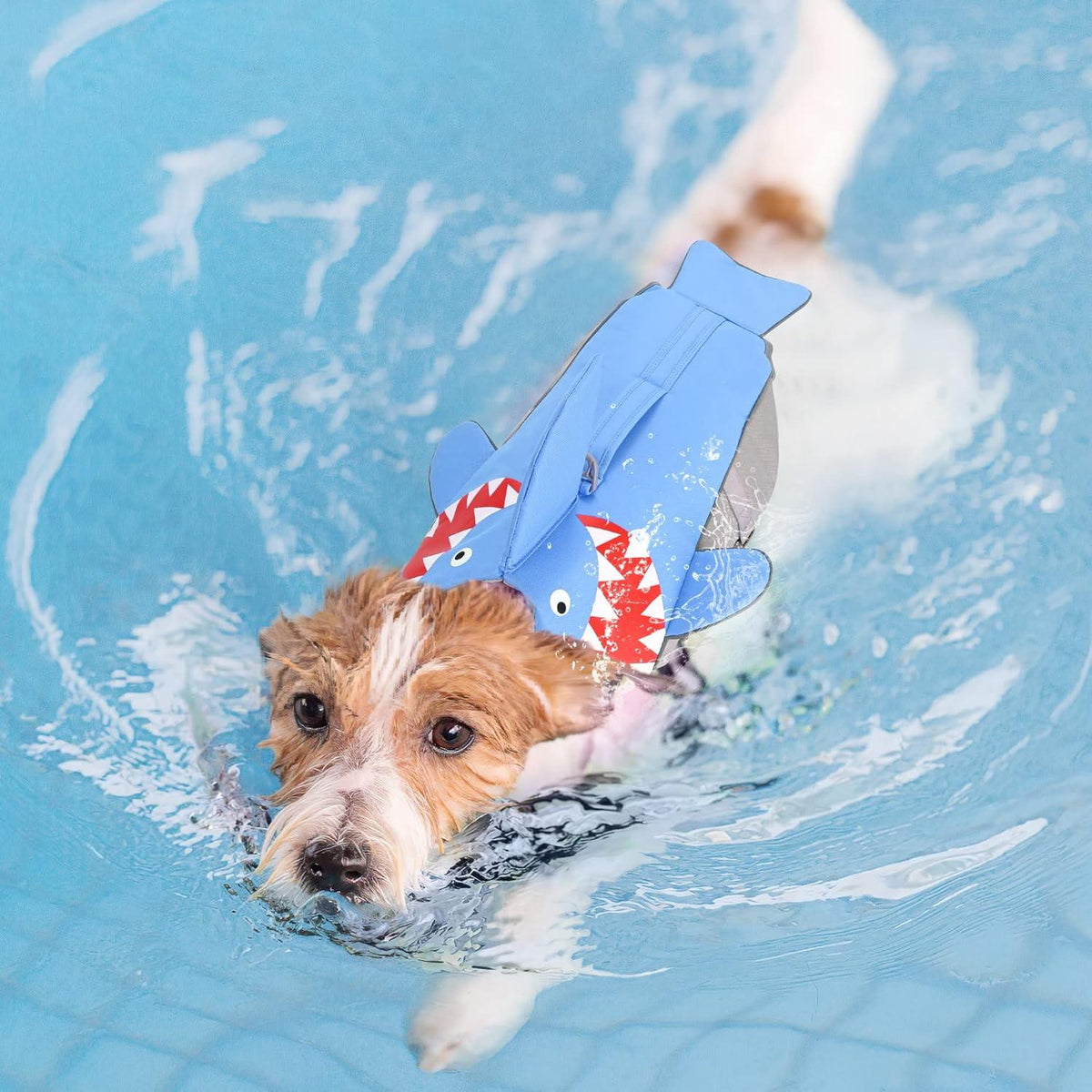 Hundeschwimmweste Hai Schwimmen Bootfahren Hunde XL Blau