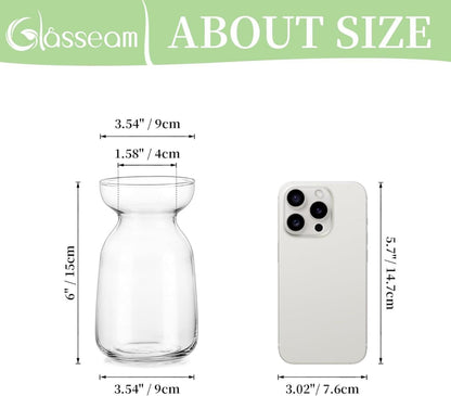 Moderne Transparente Glasvasen Set Klein für Wohnzimmer Hochzeit