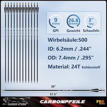 Sunya Carbonpfeile 30 Zoll 12er Pack - Jagdpfeile für