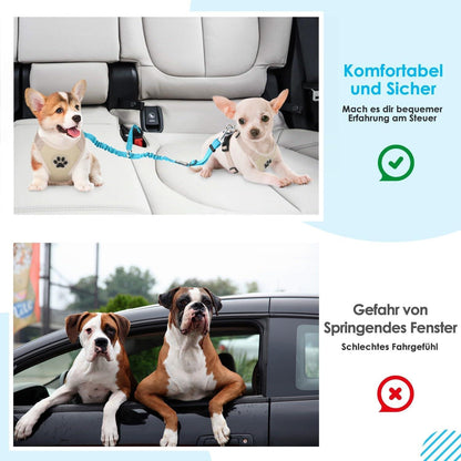 Anschnallgurt Hund Auto verstellbarer Sicherheitsgurt 2 in 1 langlebig