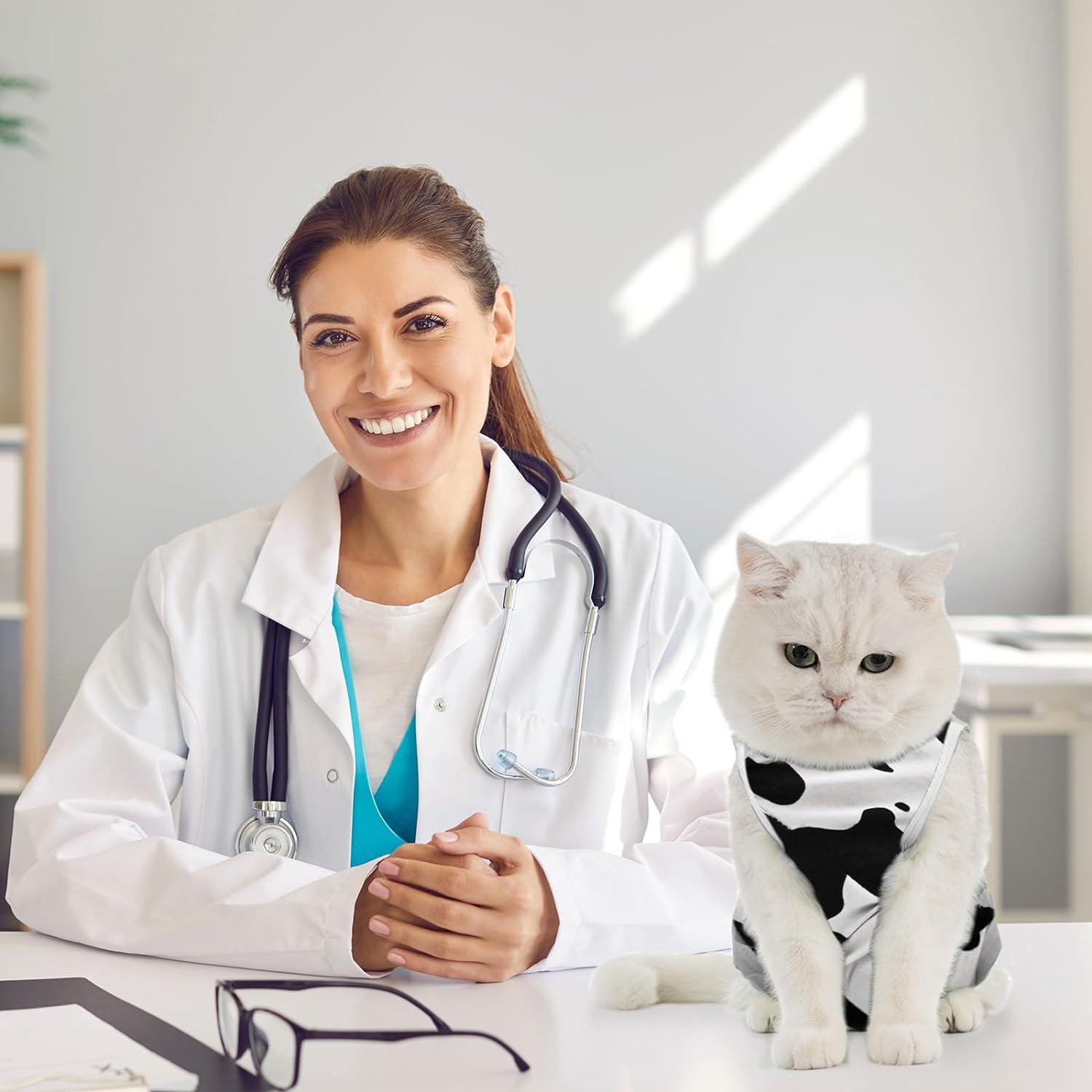 Katzenbody Erholungsanzug Kastration Suit Modal Leckschutz L