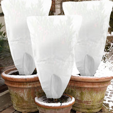Winterschutz Pflanzenabdeckung 3er Set Atmungsaktiv 120x80cm