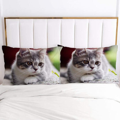 Kinder Bettwäsche Set 135x200 Grau Katze 3D Mikrofaser
