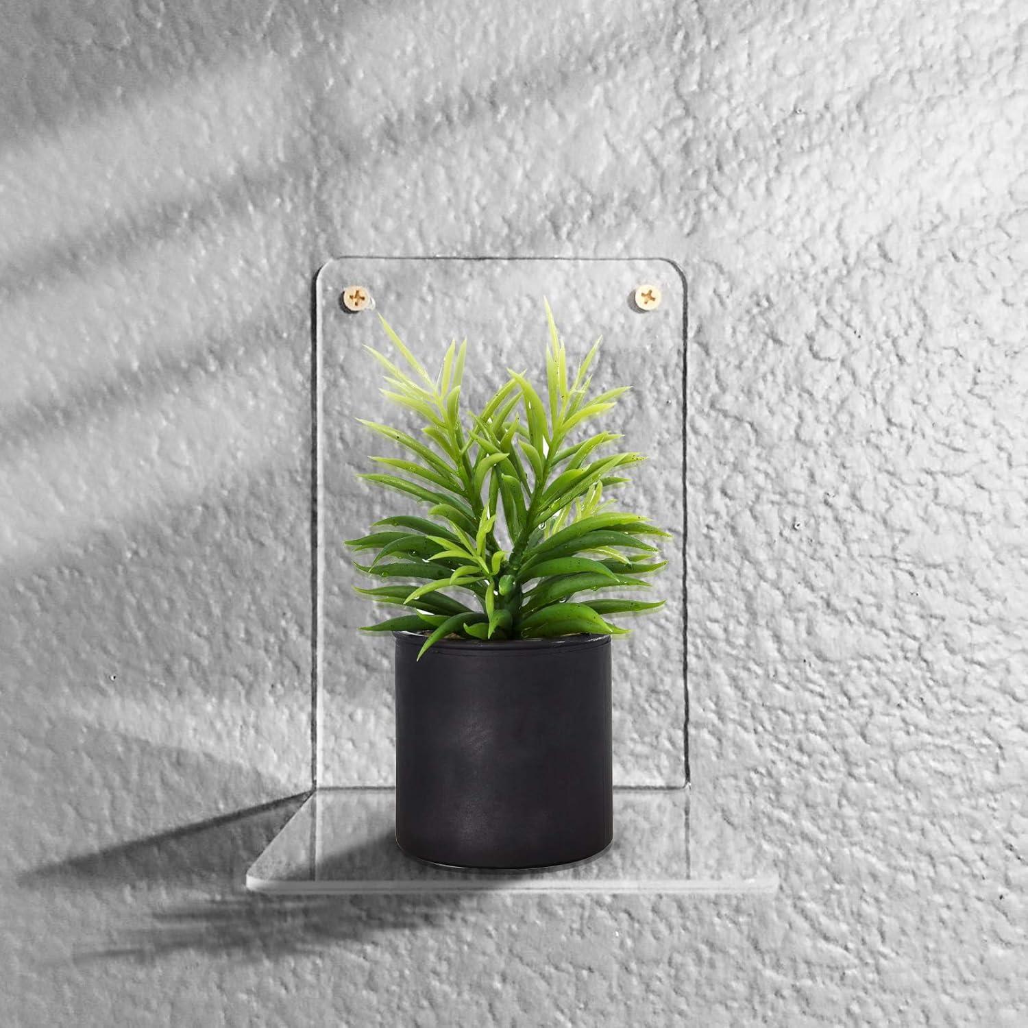 Transparente Acryl Buchstützen Set 8 Stück rutschfest Bücherregal Organizer