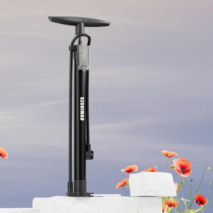 Fahrradpumpe Standluftpumpe Ballpumpe 160 PSI Hochdruck für