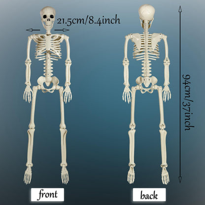 Halloween Skelett Bewegliche Gelenke 90cm Deko Innen Garten