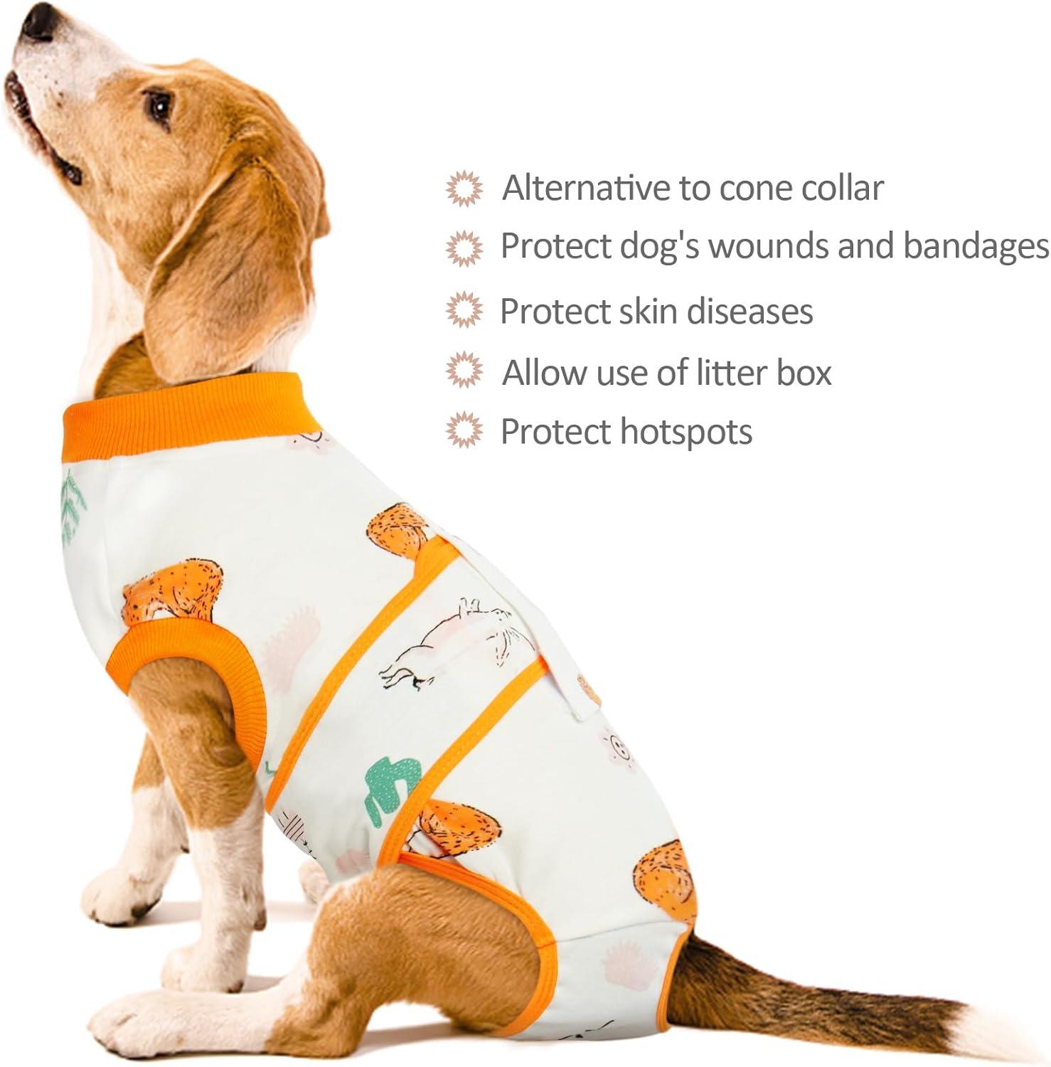 Hundebody nach Op und Kastration für Rüden und Hündinnen Orange M
